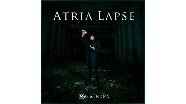 Atria Lapse by Eden Choi